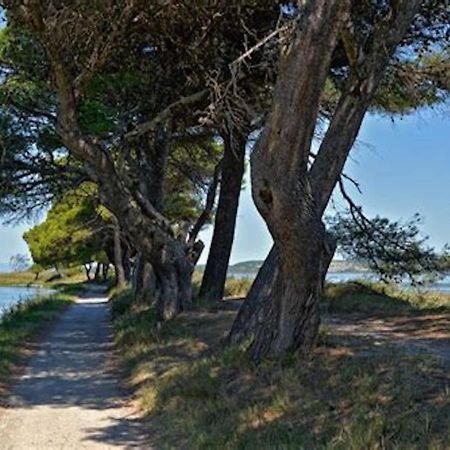 Agreable Maison De Famille Sur Gite Echarou Sigean Exterior foto