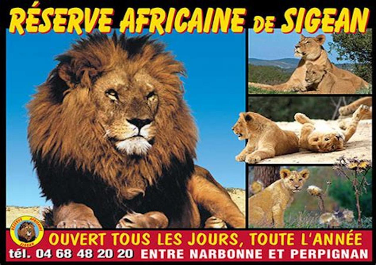 Agreable Maison De Famille Sur Gite Echarou Sigean Exterior foto